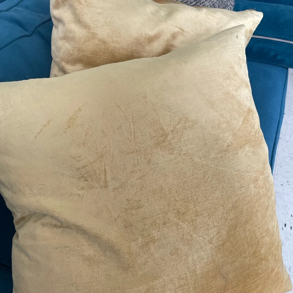 West Elm Classic Cotton Velvet Cover & Pillows